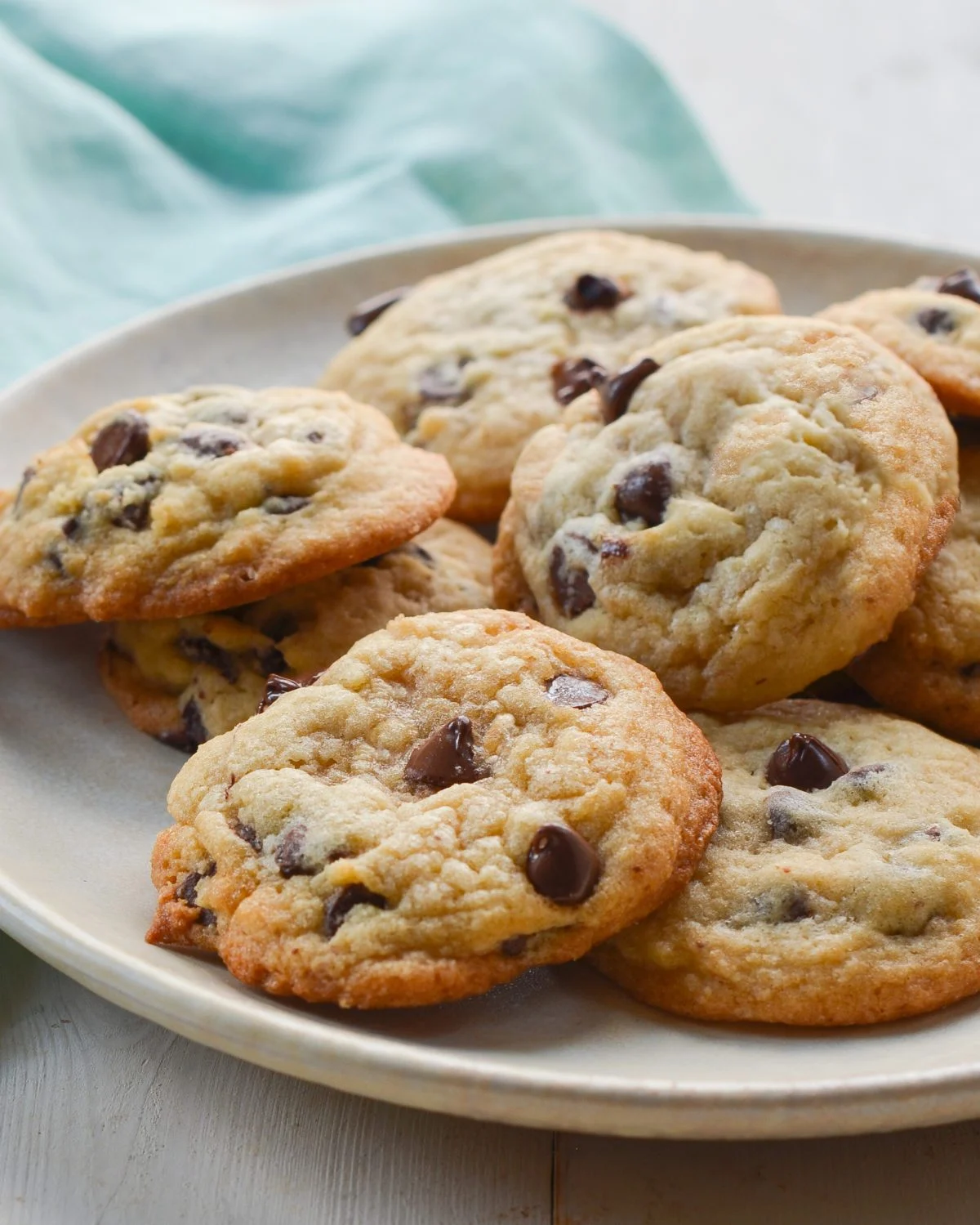 Chcolate Chip Cookie
