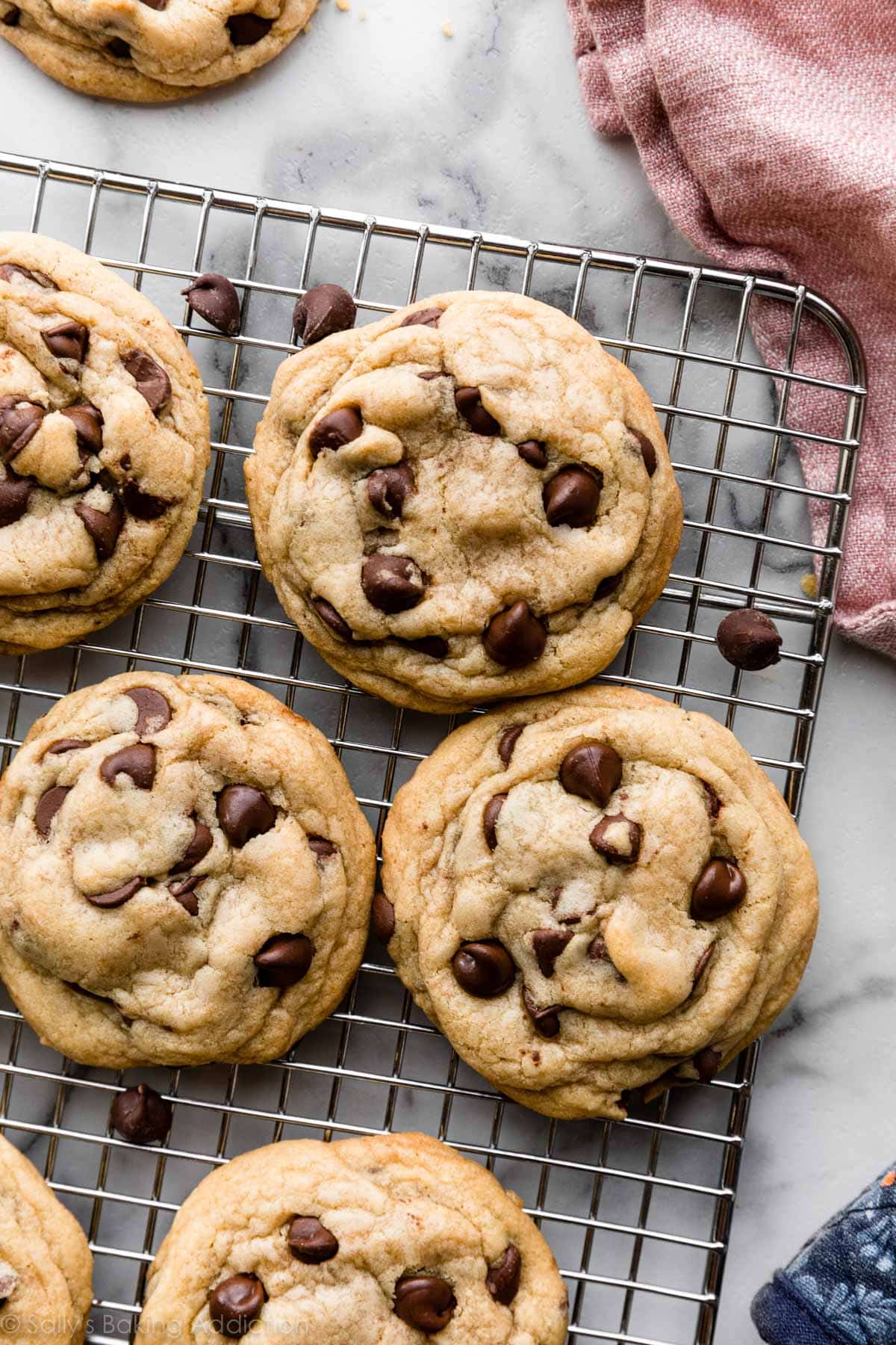 Chcolate Filled Cookie