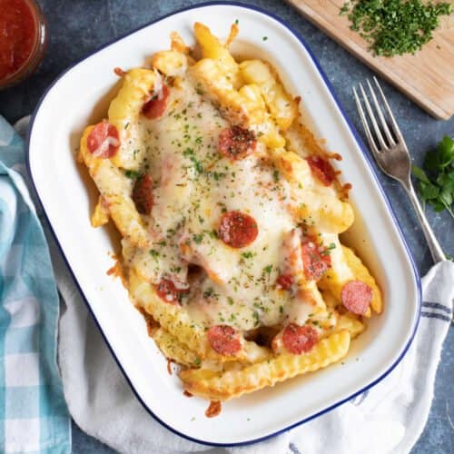loaded fries